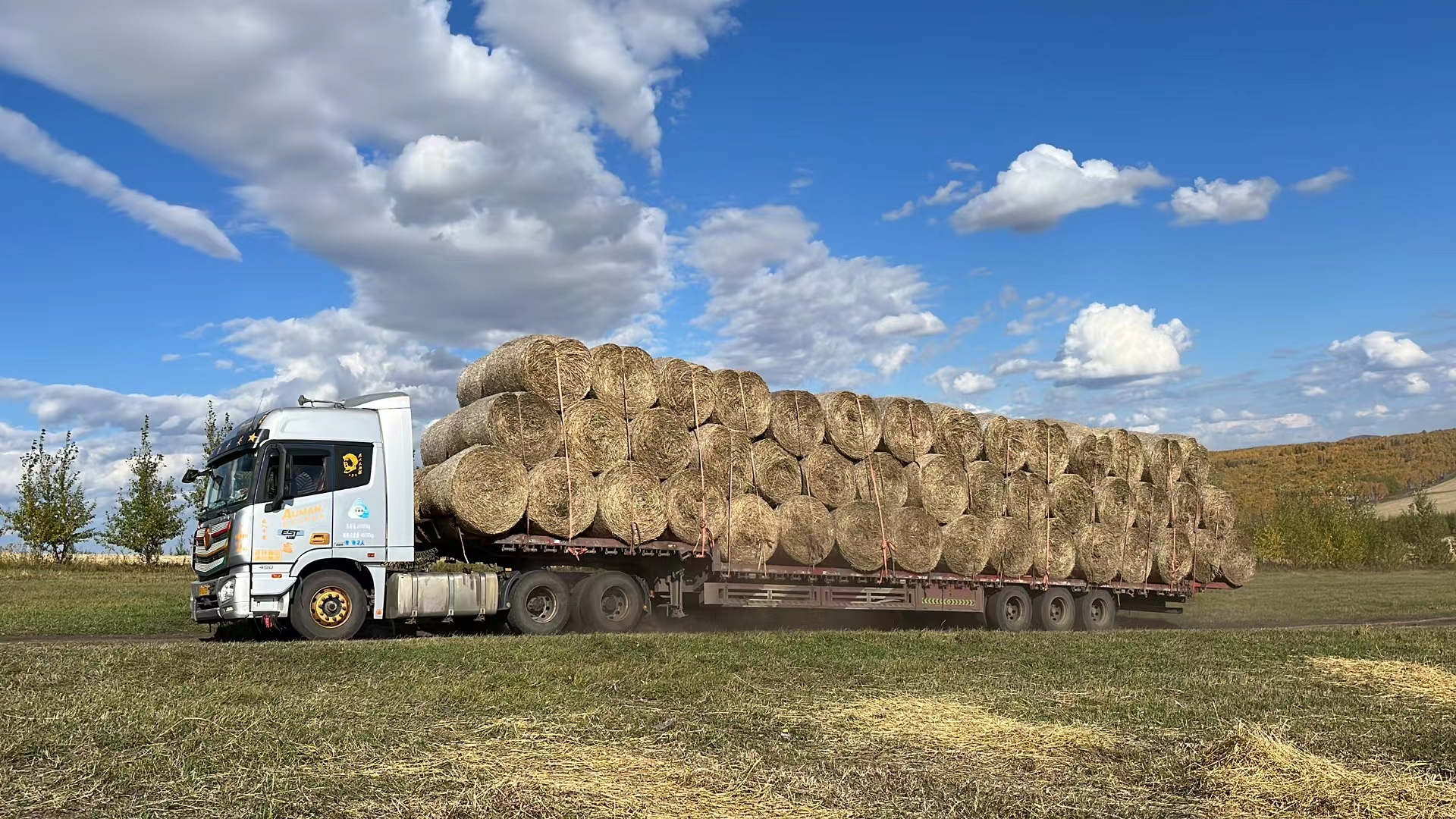 Beyond Single-Layer Plastic: What Makes Modern Multi-Layer Silage Film Superior