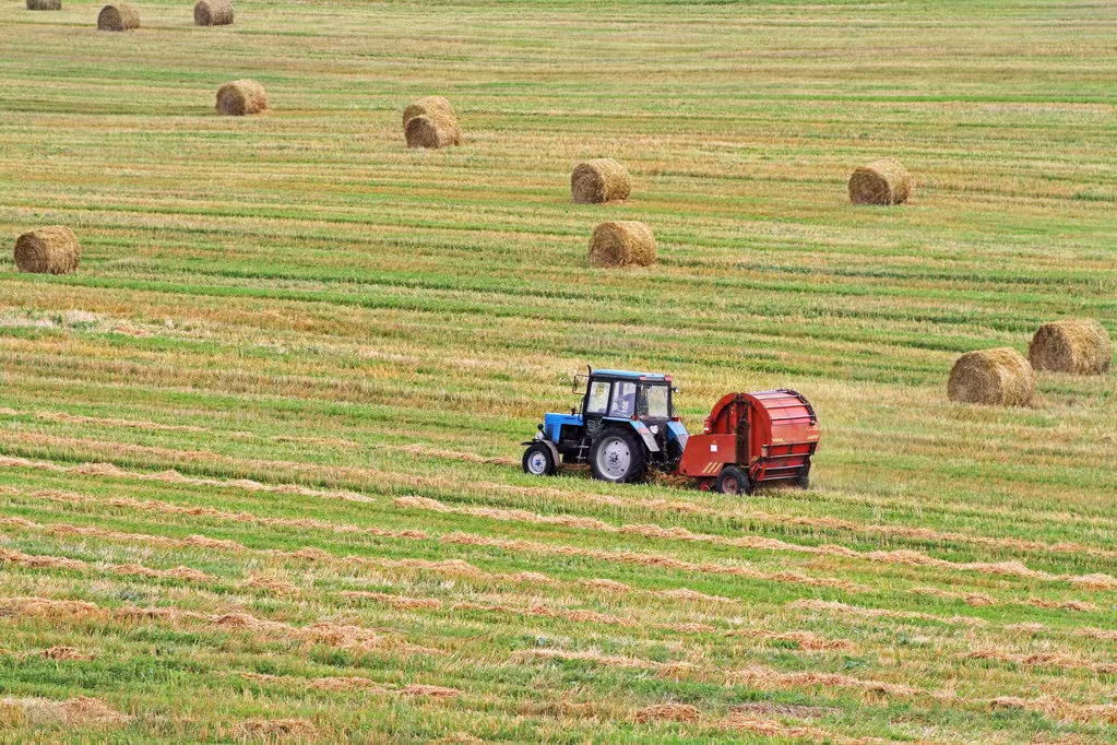 Baler Net Wrap vs Baler Twine: Which Is Better for Hay Baling?